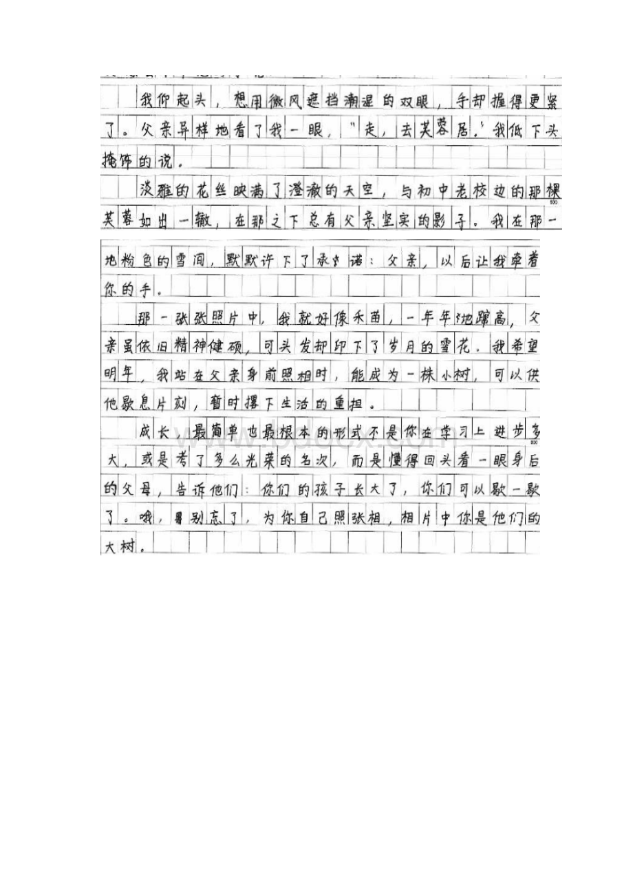 成长我为自己拍照范文Word文件下载.docx_第2页