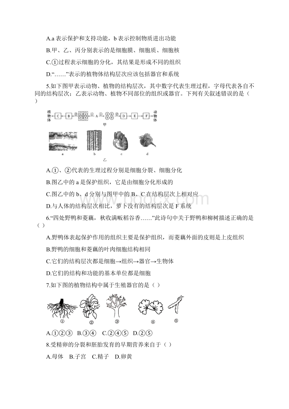 苏教版生物七年级上册第四章综合测试含答案Word文档下载推荐.docx_第2页