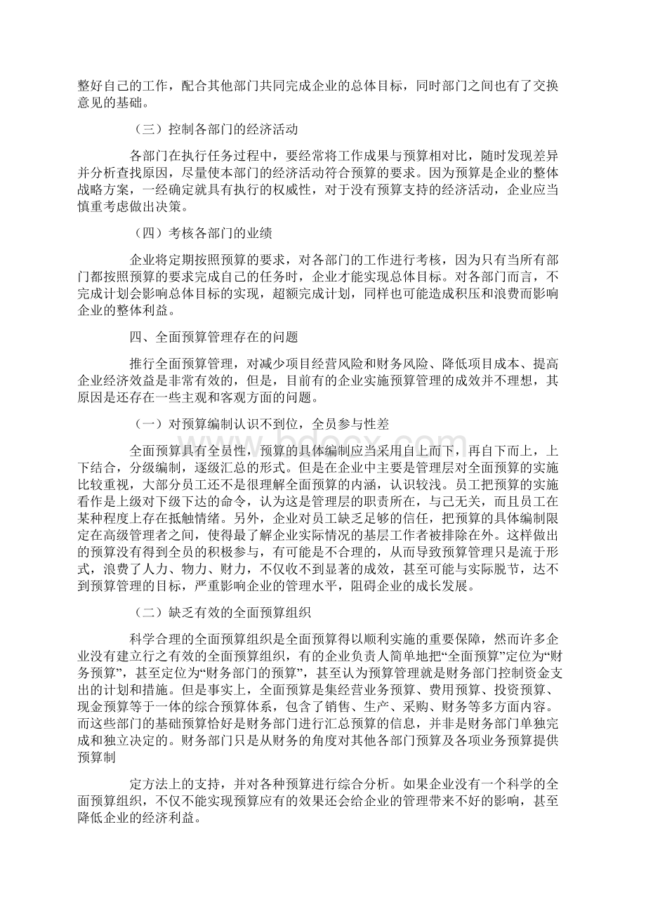 全面预算管理工作总结.docx_第3页