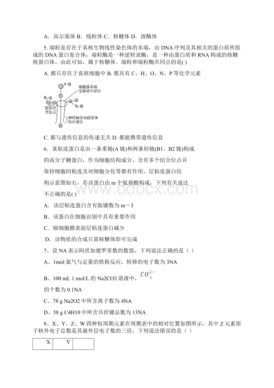 园林高中届高三十月月考doc.docx_第2页