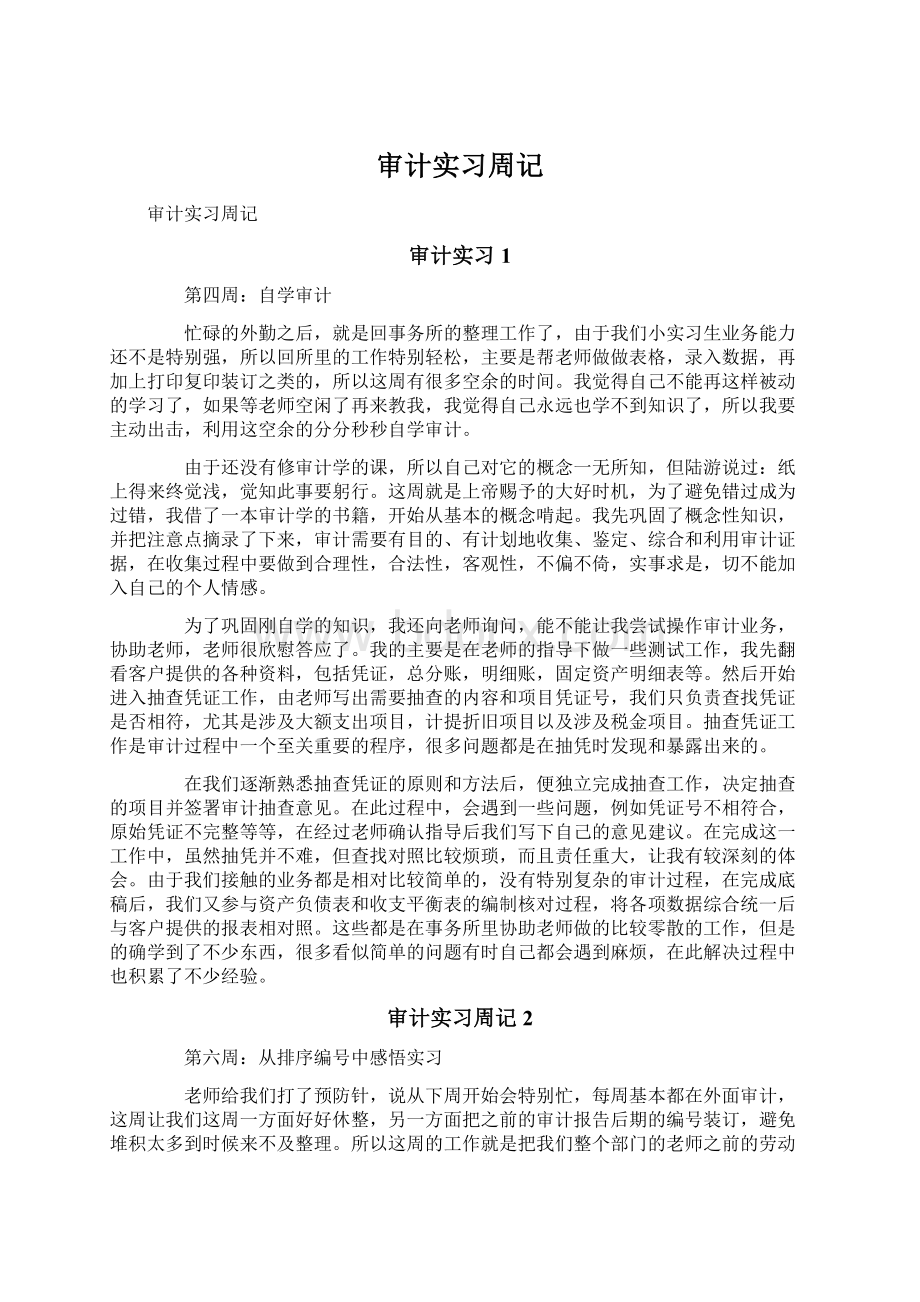 审计实习周记Word下载.docx