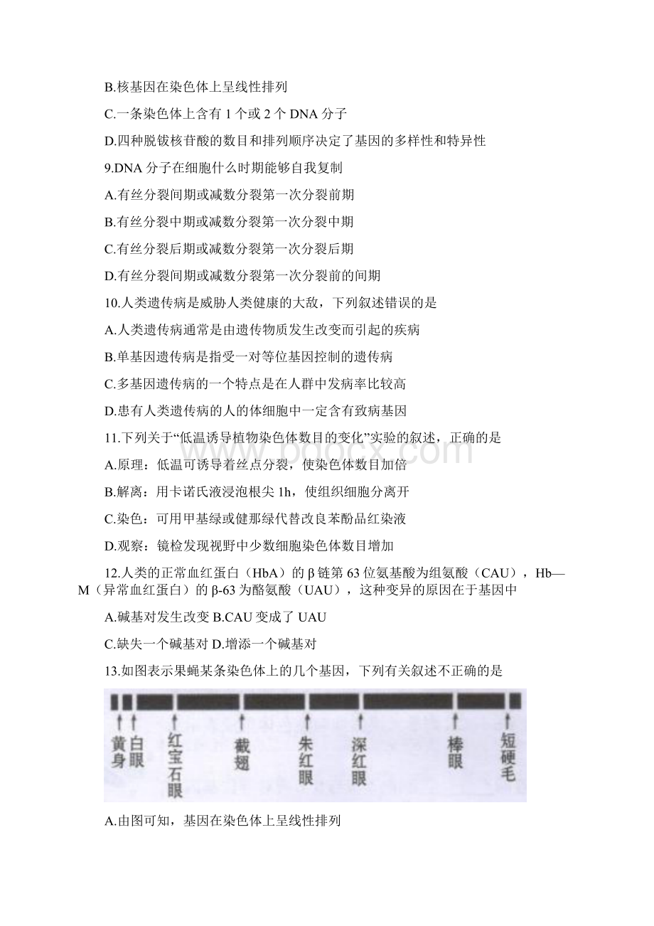 广西省桂林市学年高一下学期期末质量检测生物试题含答案Word格式文档下载.docx_第2页