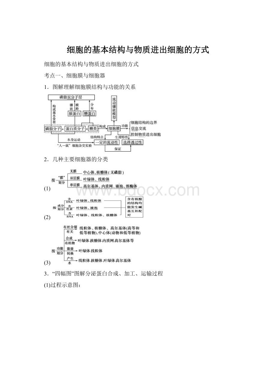 细胞的基本结构与物质进出细胞的方式.docx