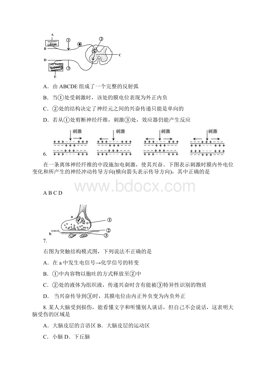 北京市丰台区学年高二生物上学期期中试题B卷Word文件下载.docx_第2页