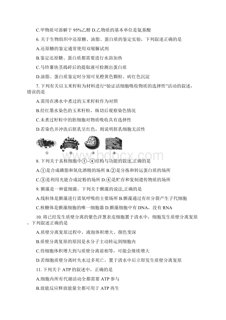 人教版学年高二生物上学期期中试题 新版 人教版Word格式文档下载.docx_第2页