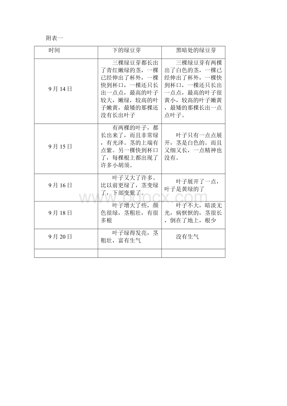 绿豆芽的生长实验报告.docx_第3页