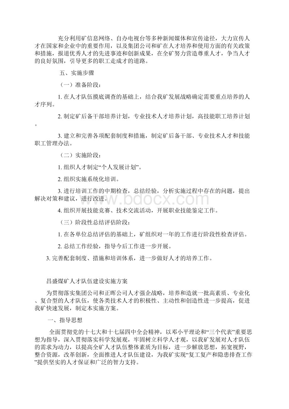 人才队伍建设实施方案设计.docx_第3页