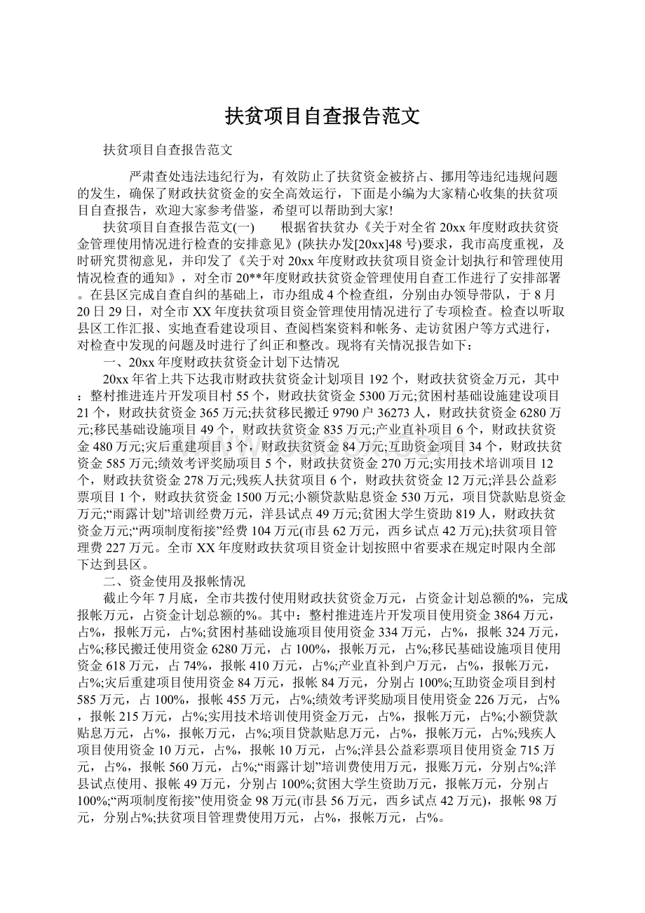 扶贫项目自查报告范文.docx