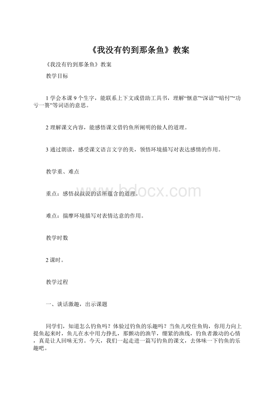 《我没有钓到那条鱼》教案Word文档格式.docx