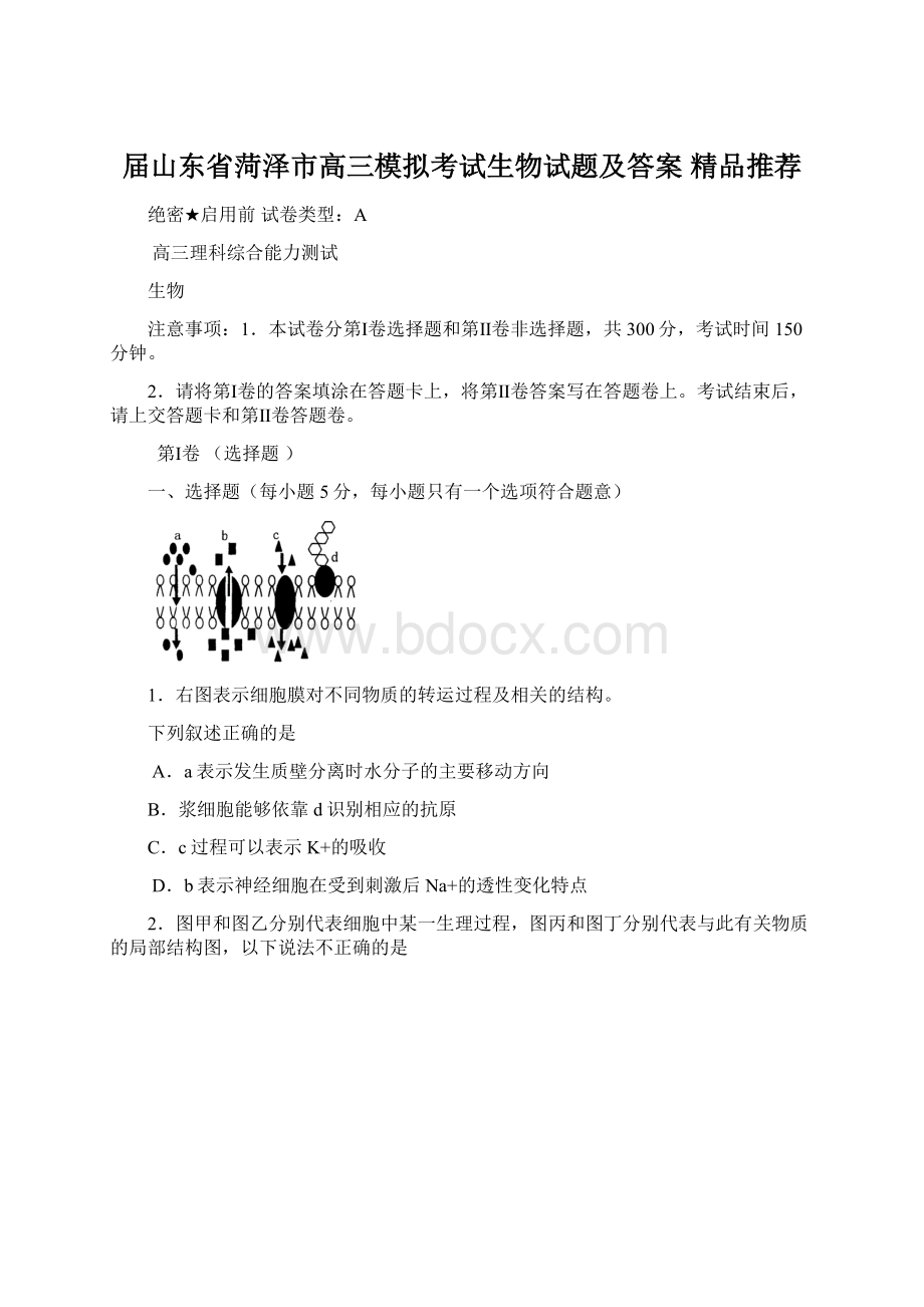 届山东省菏泽市高三模拟考试生物试题及答案精品推荐.docx_第1页