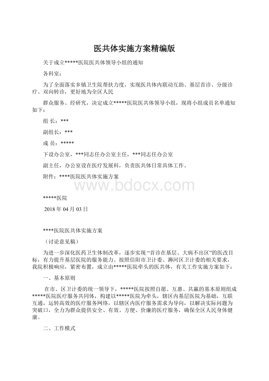 医共体实施方案精编版文档格式.docx_第1页