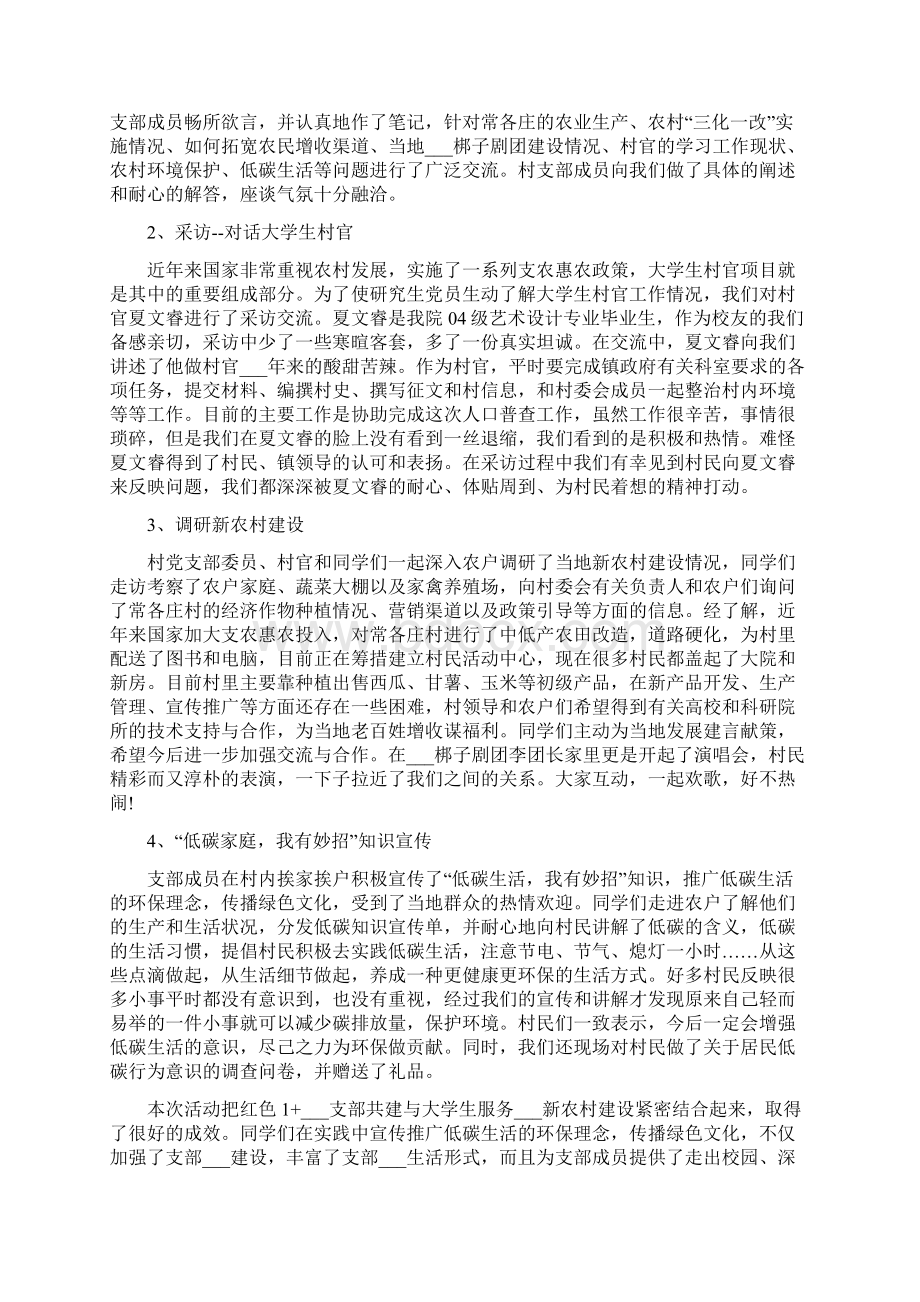 党支部共建活动总结.docx_第3页