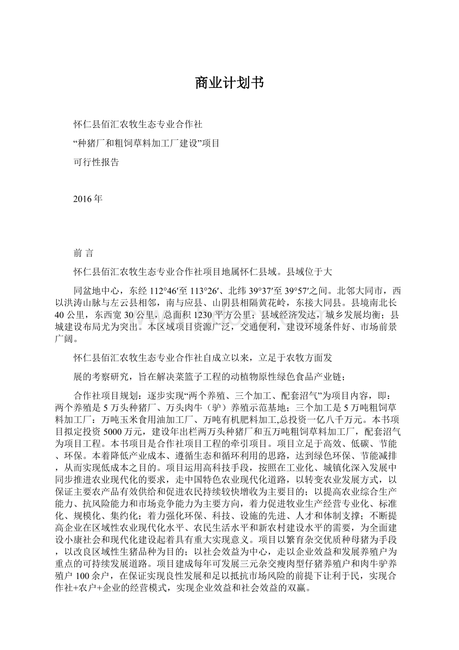 商业计划书.docx_第1页