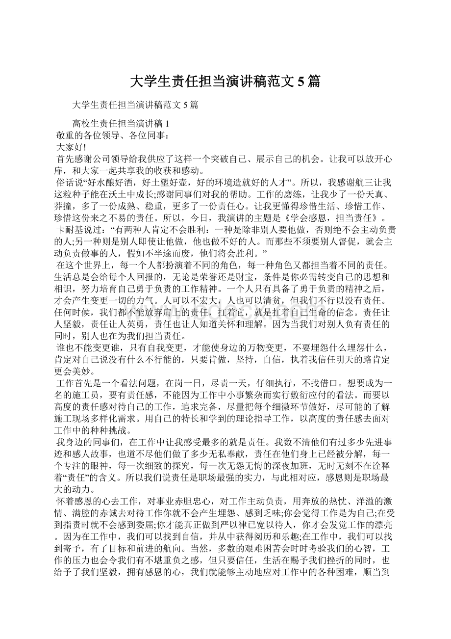 大学生责任担当演讲稿范文5篇.docx