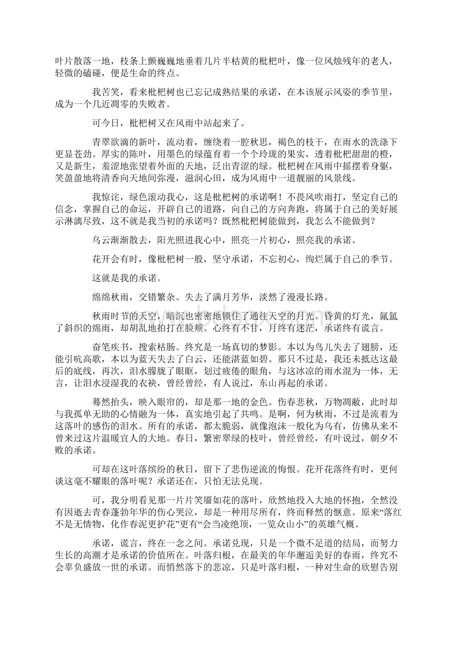 中小学这就是我的承诺作文文档格式.docx_第2页