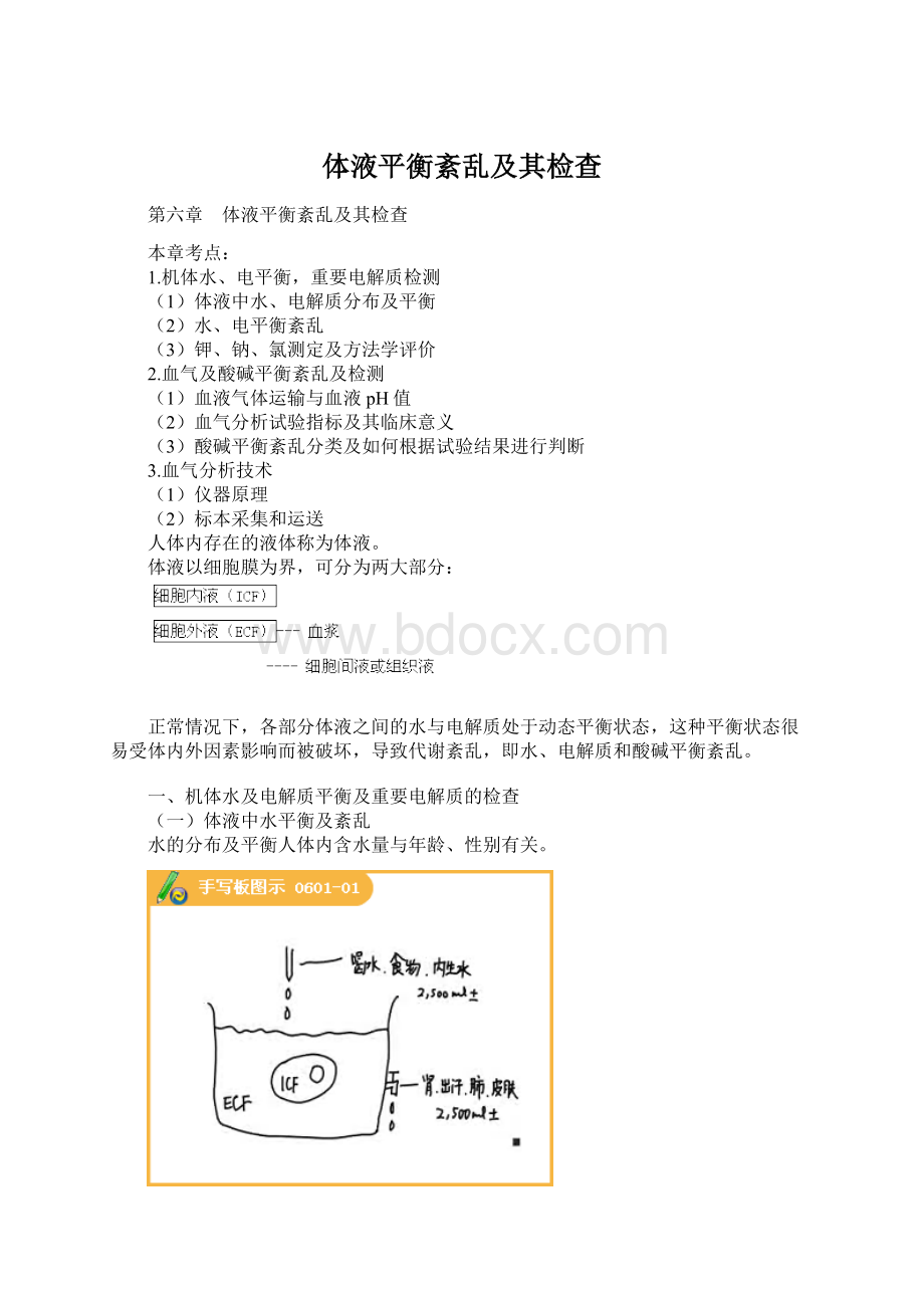 体液平衡紊乱及其检查.docx_第1页