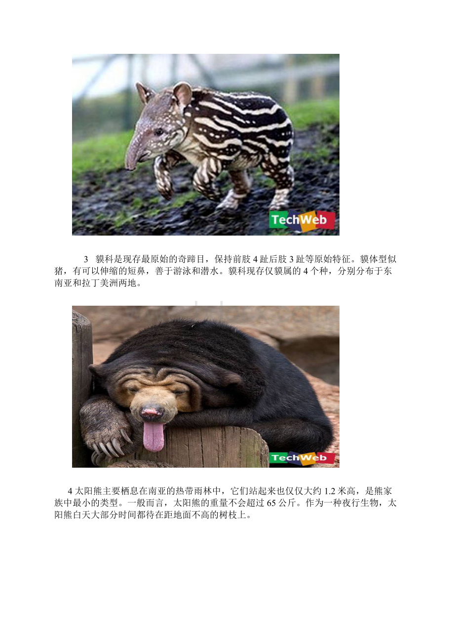 精编资料推荐世界上最有趣的动物.docx_第2页