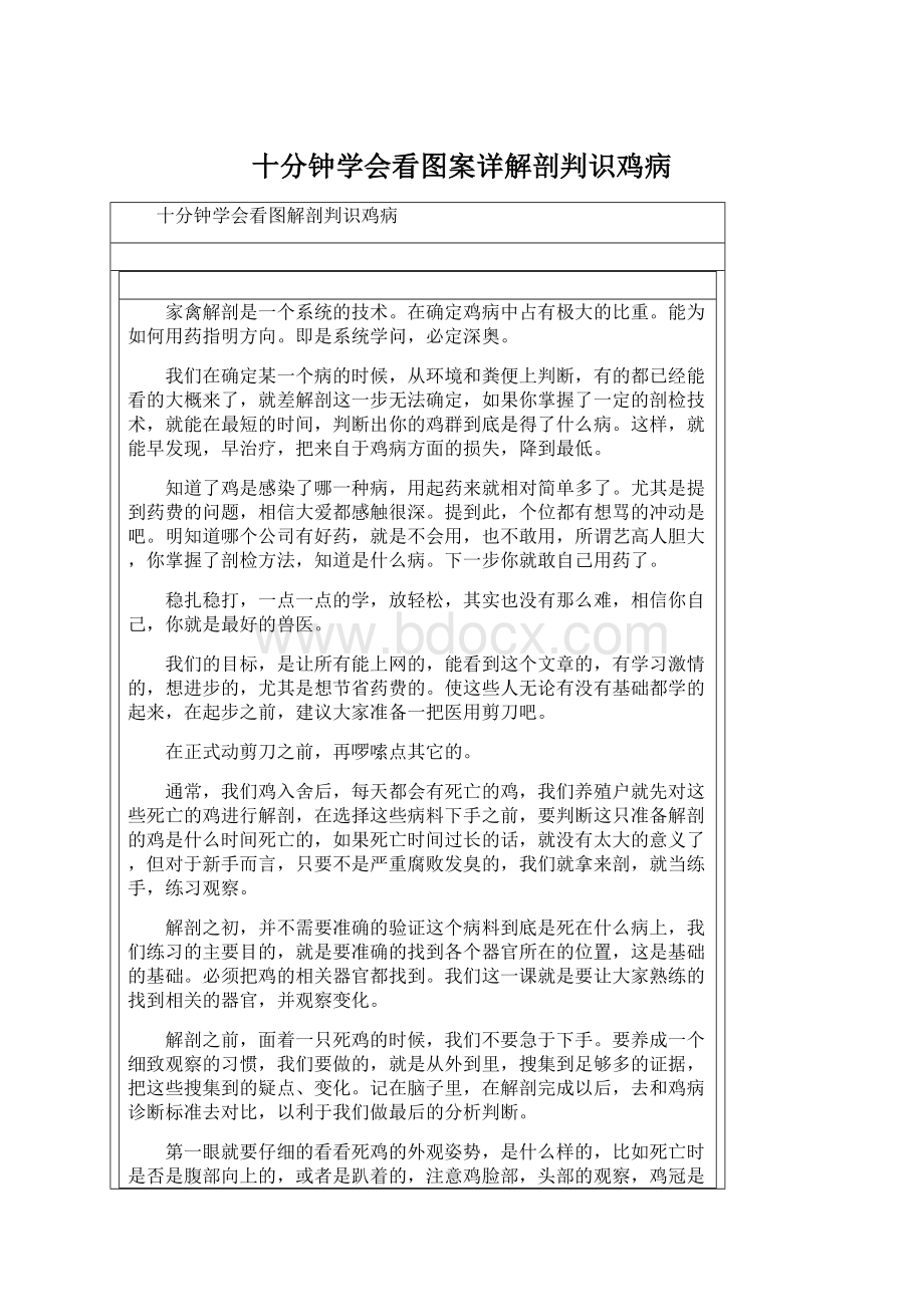 十分钟学会看图案详解剖判识鸡病.docx_第1页