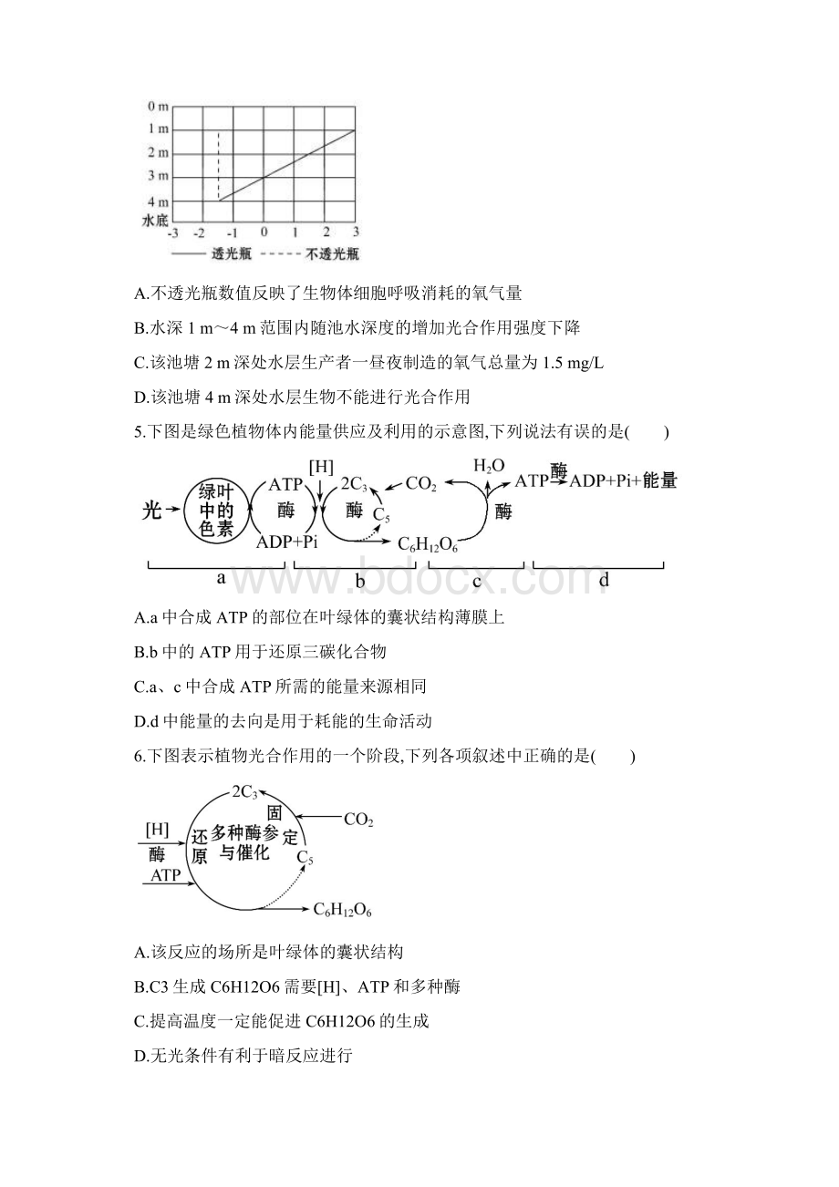 光合作用一轮复习测试.docx_第2页