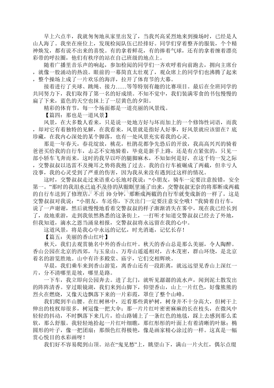 关于风景的作文500字文档格式.docx_第2页