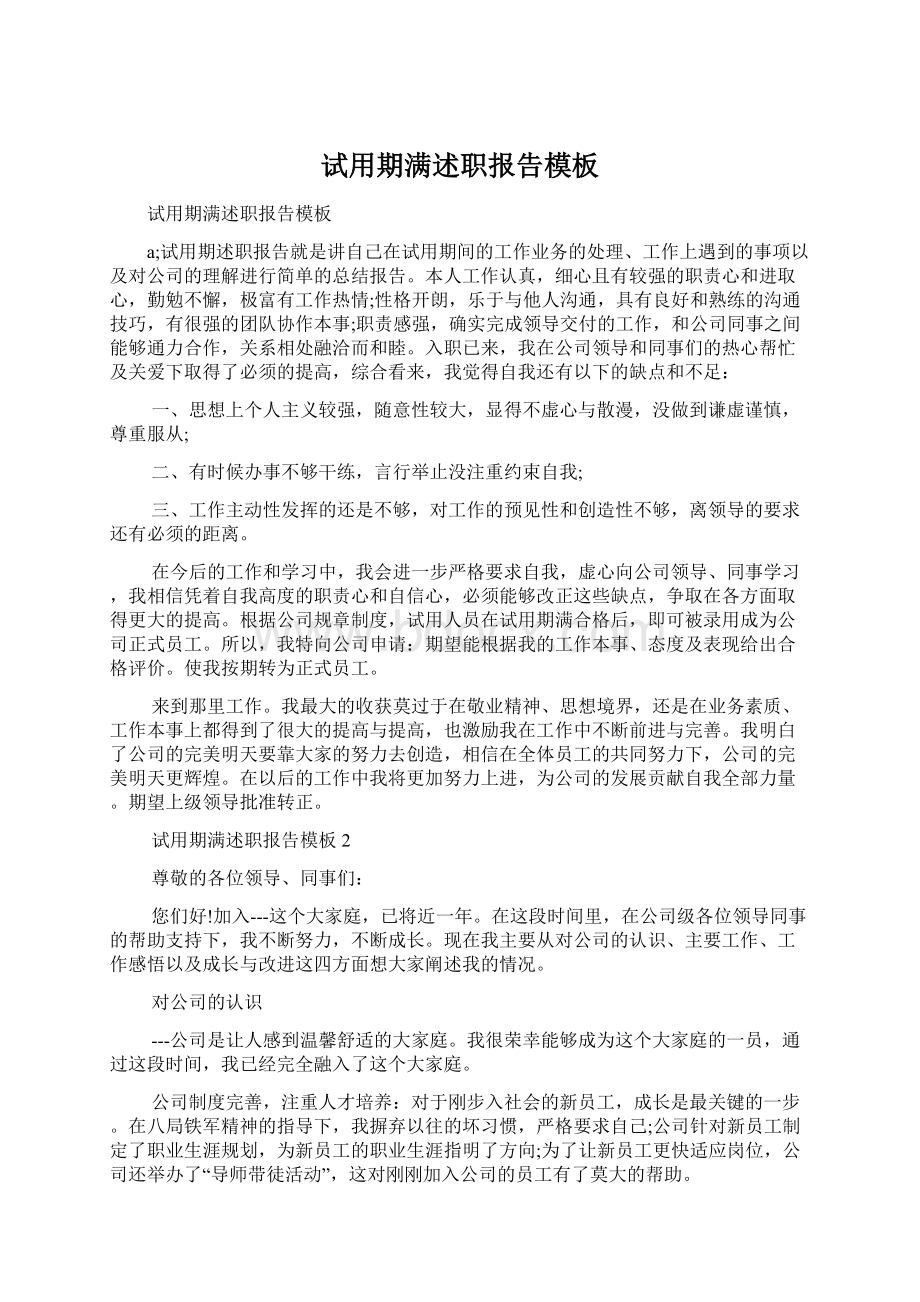 试用期满述职报告模板Word文档下载推荐.docx