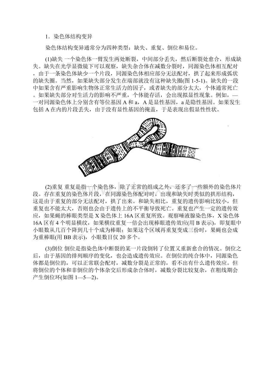 第五章遗传学与进化.docx_第3页