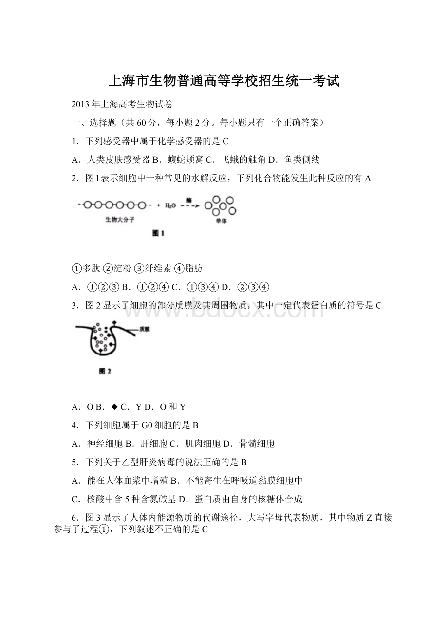 上海市生物普通高等学校招生统一考试Word文件下载.docx_第1页