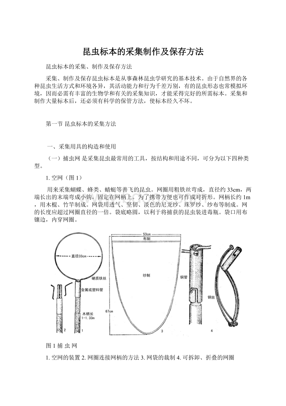 昆虫标本的采集制作及保存方法.docx