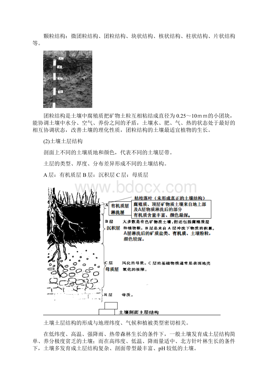 第六章土壤与园林植物Word文件下载.docx_第2页