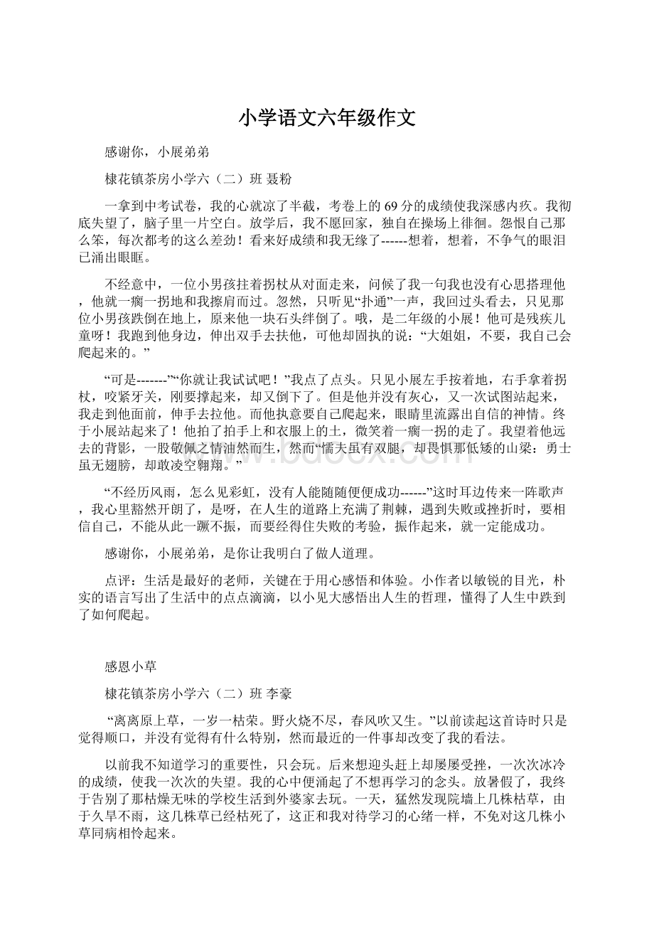 小学语文六年级作文文档格式.docx