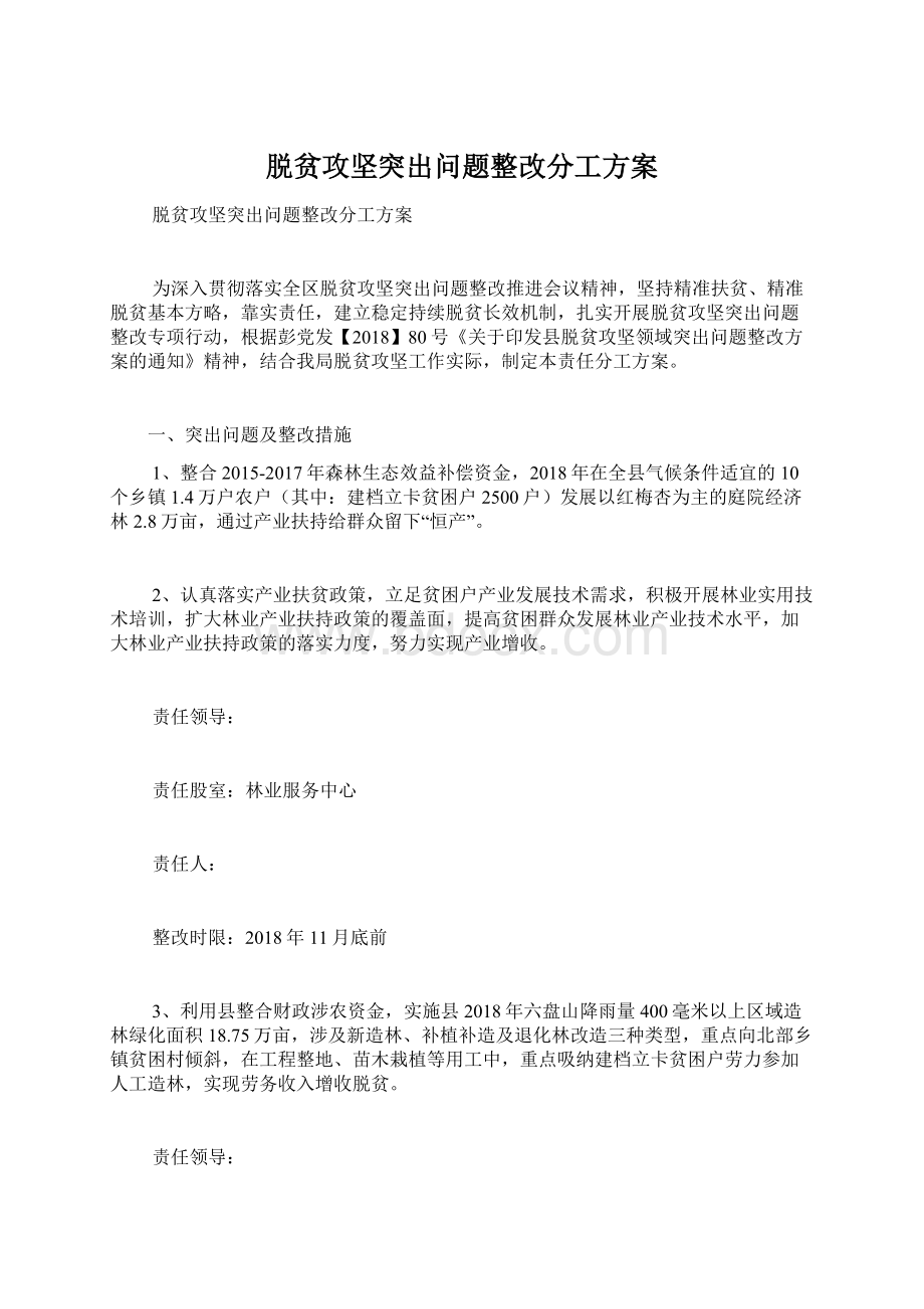 脱贫攻坚突出问题整改分工方案Word格式.docx