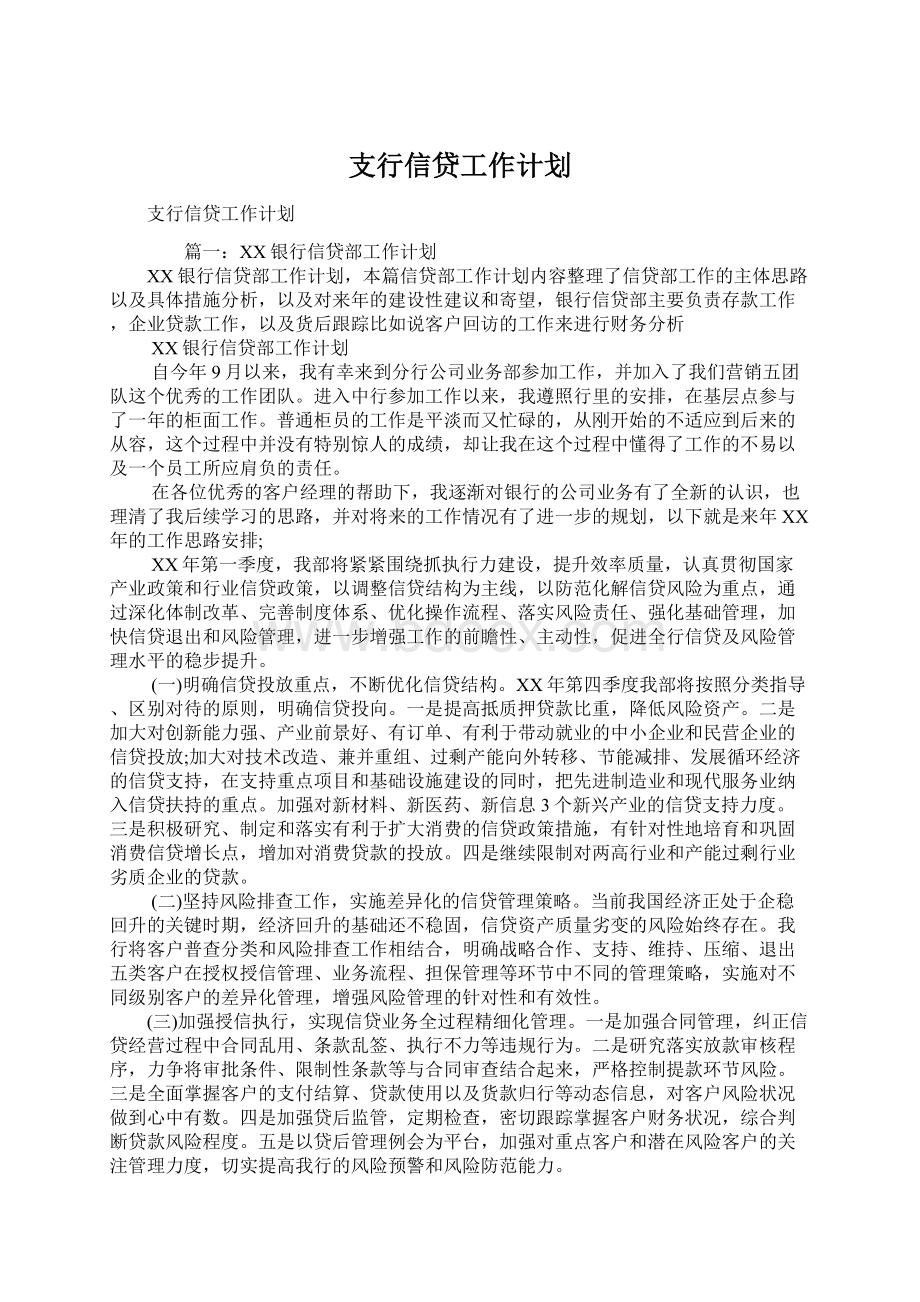 支行信贷工作计划.docx