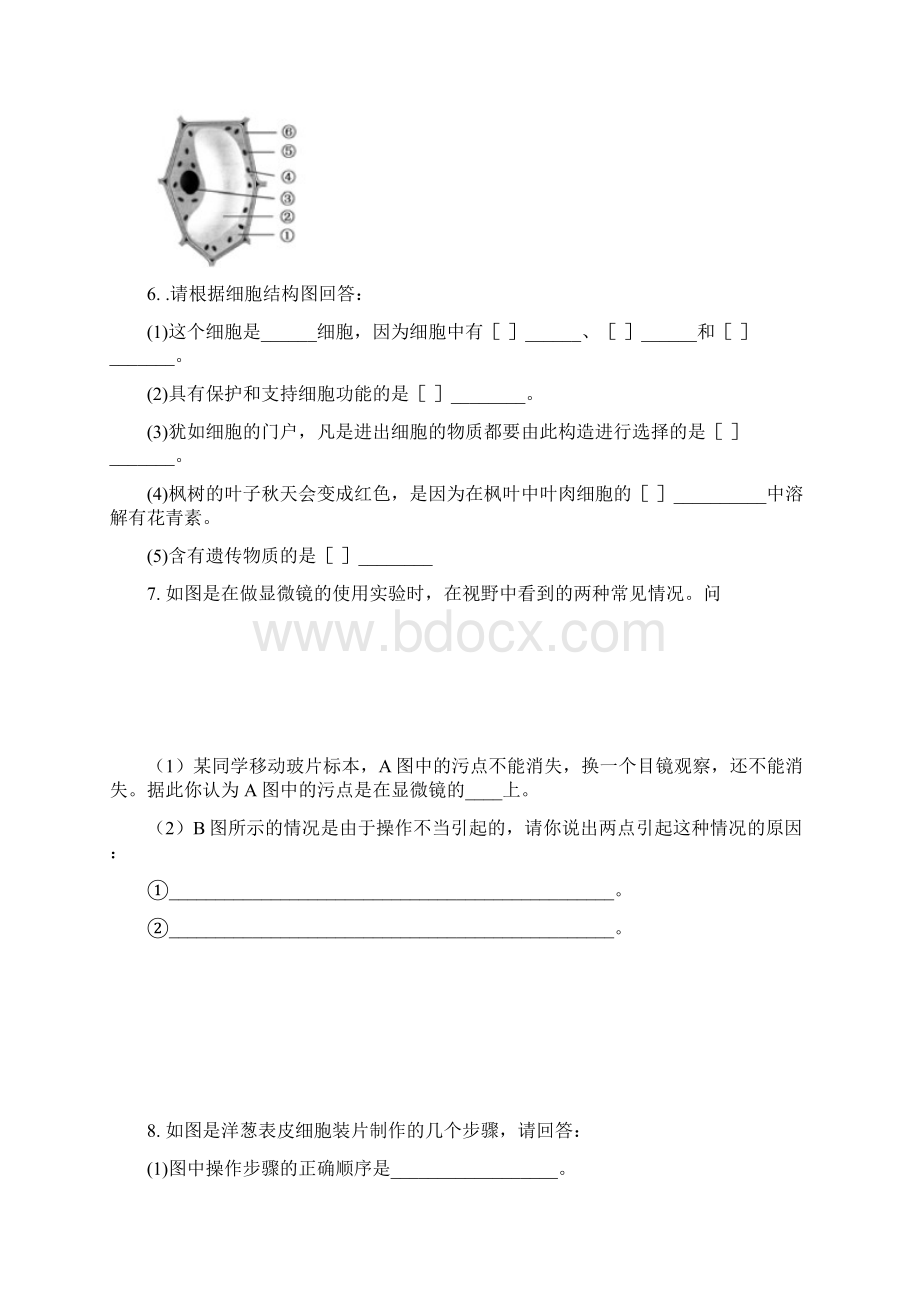 济南版生物七年级上册图形实验专题训练Word文档格式.docx_第3页