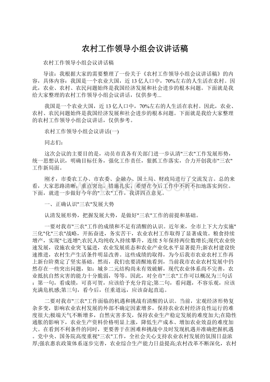 农村工作领导小组会议讲话稿文档格式.docx