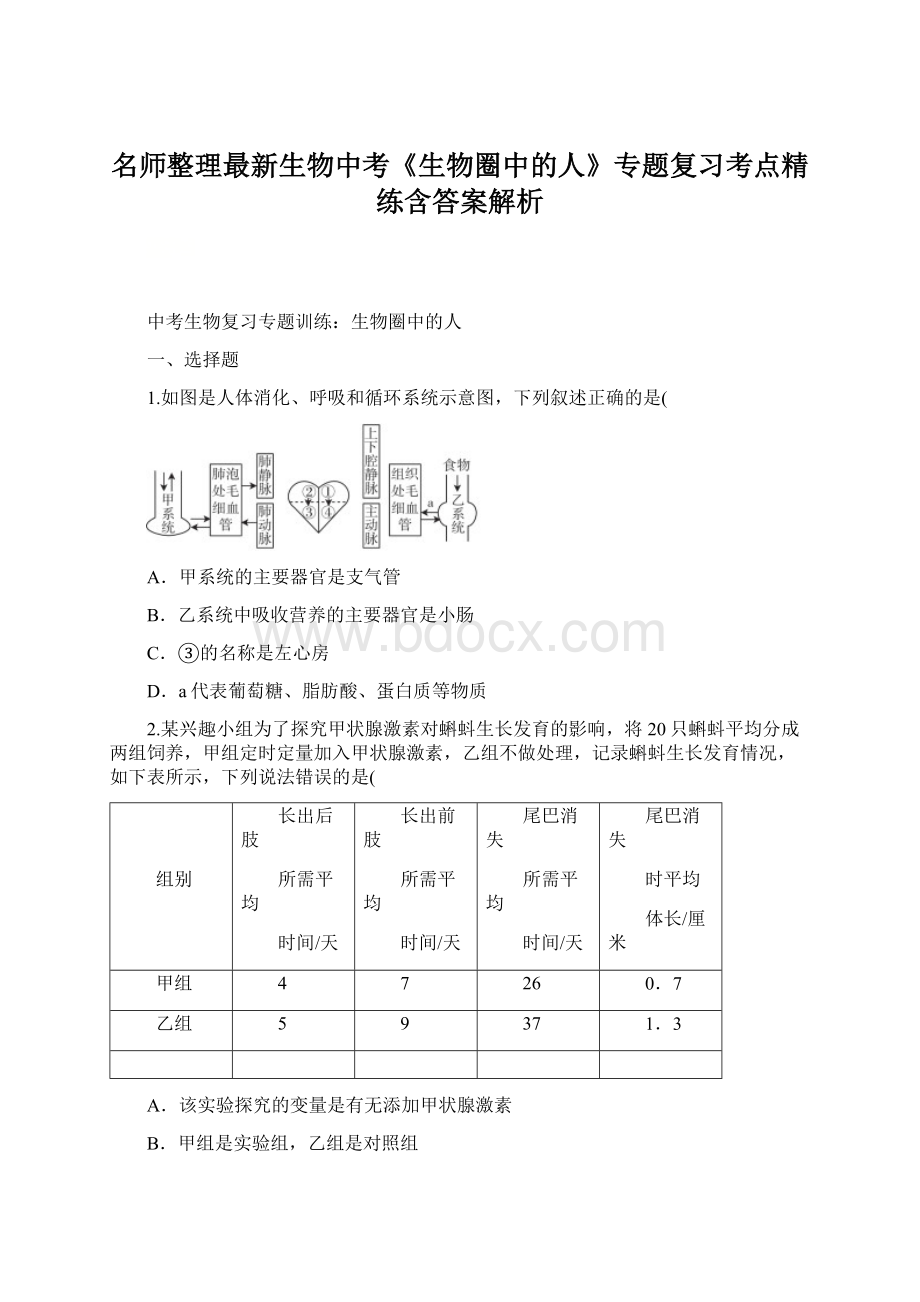 名师整理最新生物中考《生物圈中的人》专题复习考点精练含答案解析Word格式文档下载.docx