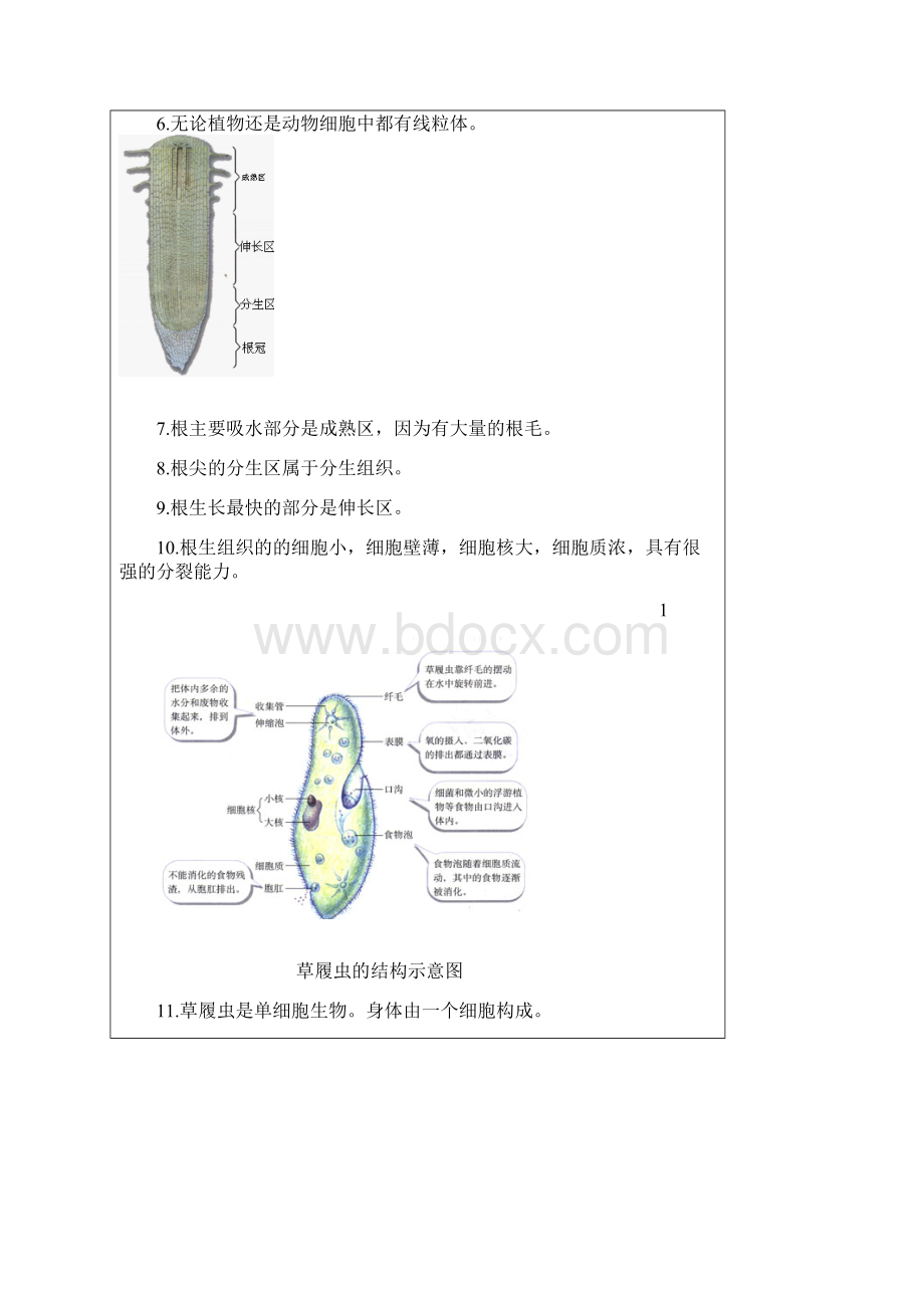 生物会考复习资料初中生物图集附题目人教版Word格式.docx_第2页