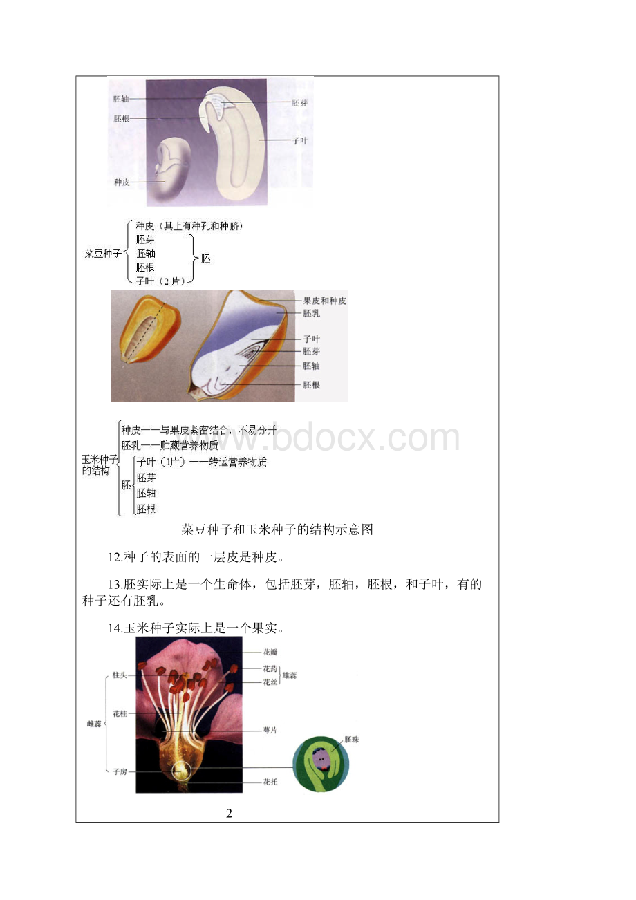 生物会考复习资料初中生物图集附题目人教版Word格式.docx_第3页