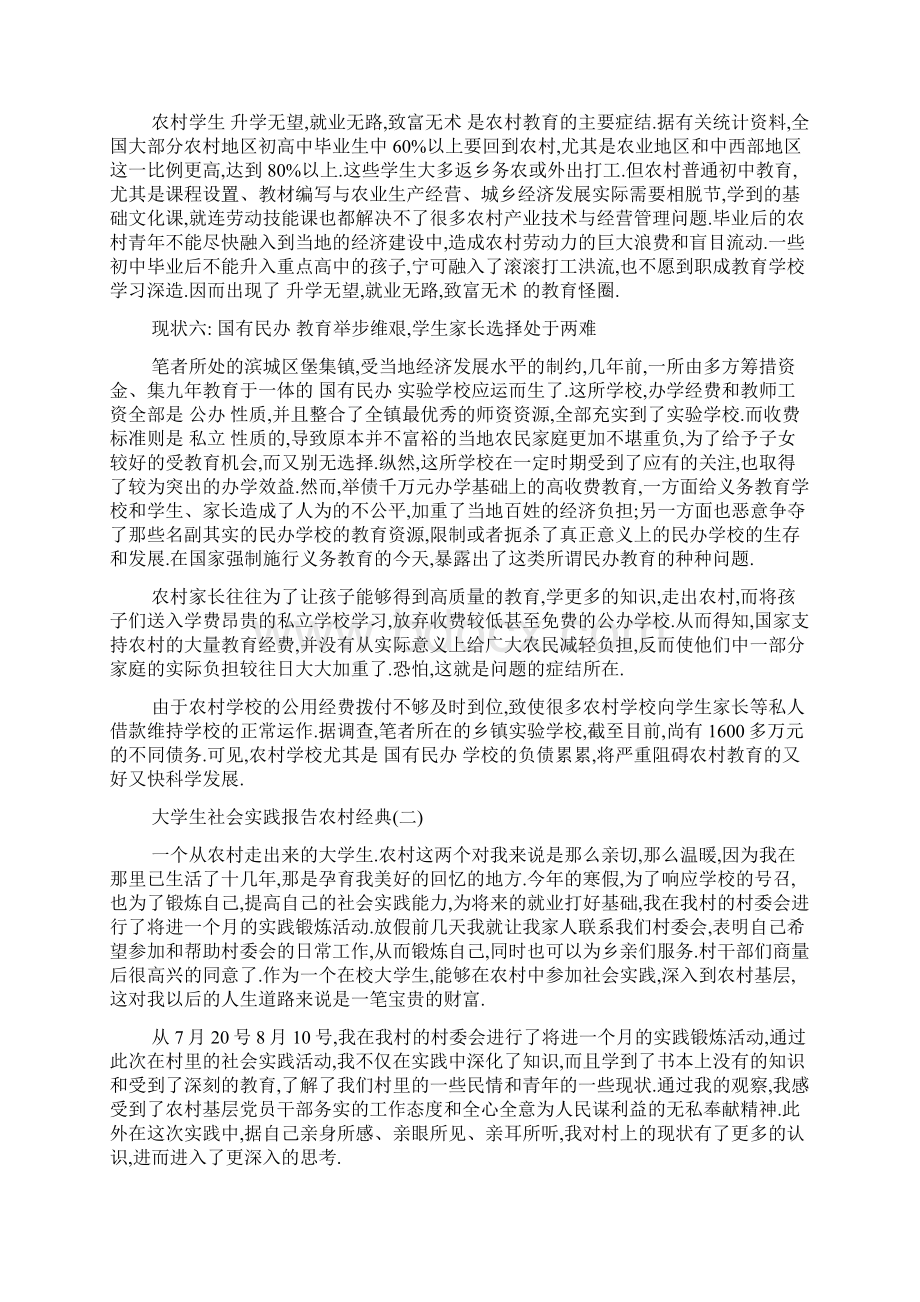 关于大学生社会实践报告农村参考五篇.docx_第3页