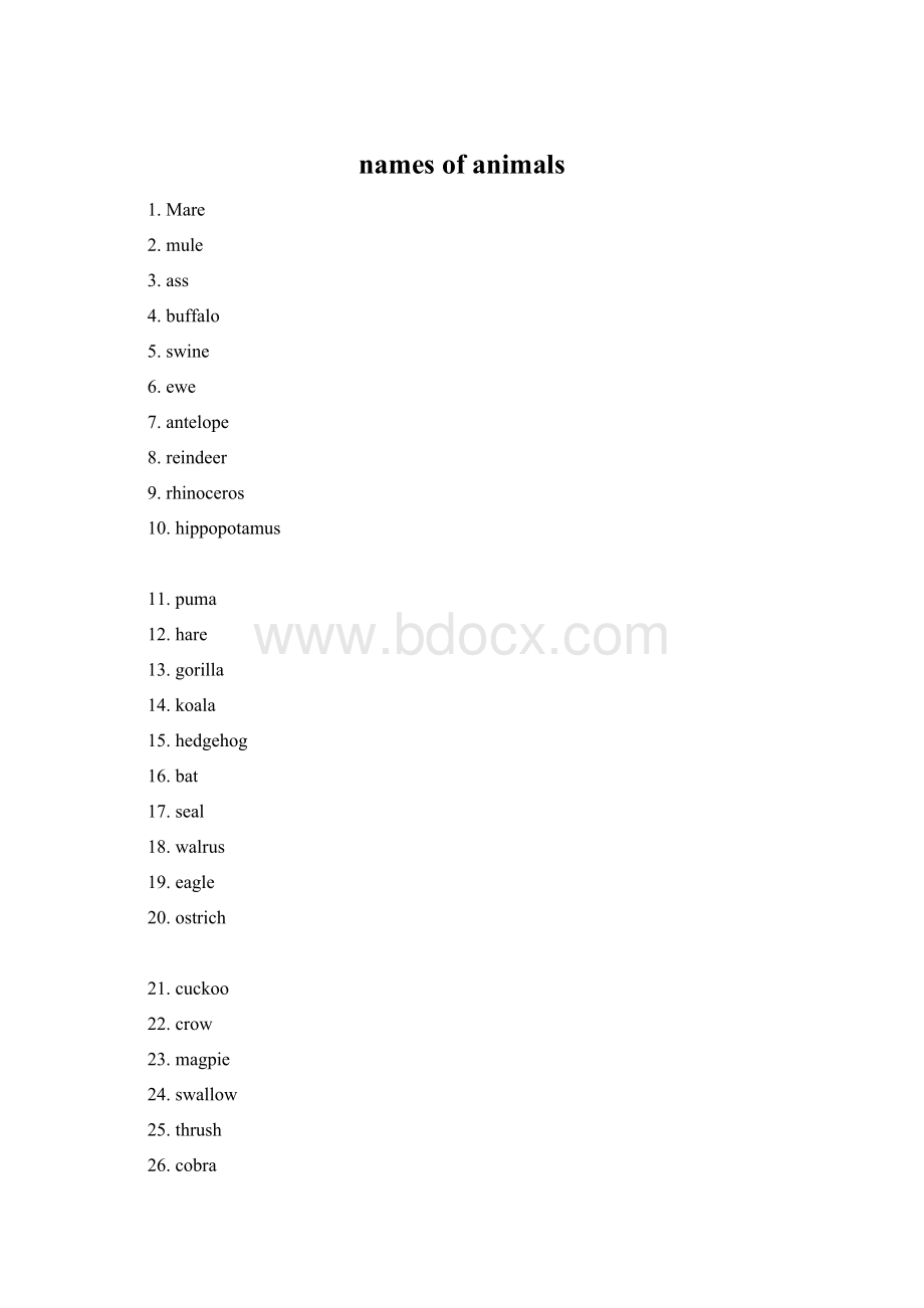 names of animals.docx_第1页