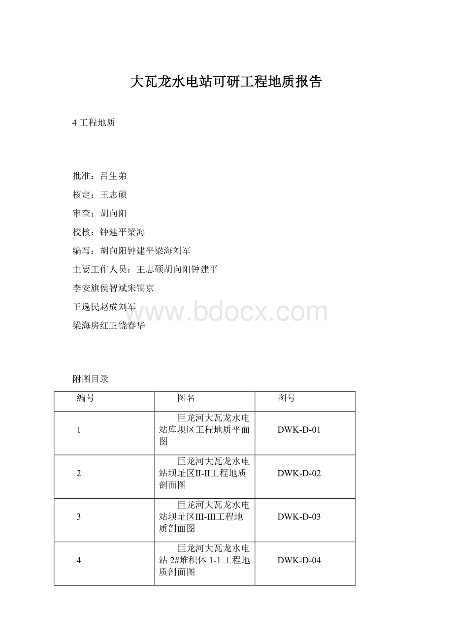 大瓦龙水电站可研工程地质报告.docx