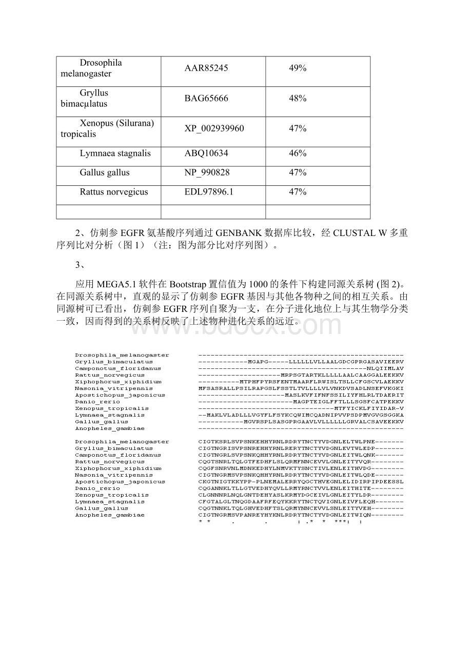 生物信息实验报告4四多序列分析及系统进化树构建.docx_第2页