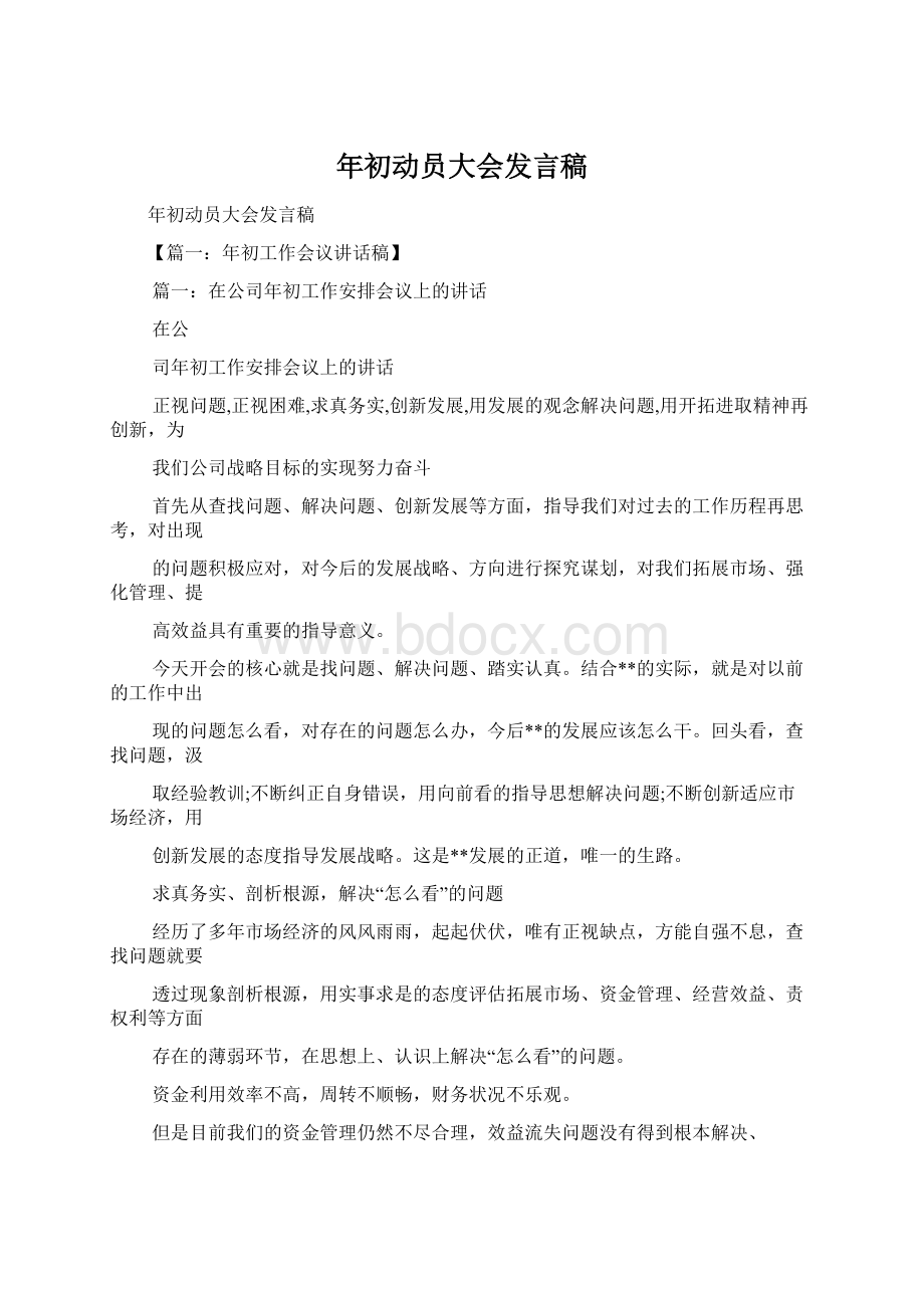 年初动员大会发言稿Word格式文档下载.docx_第1页