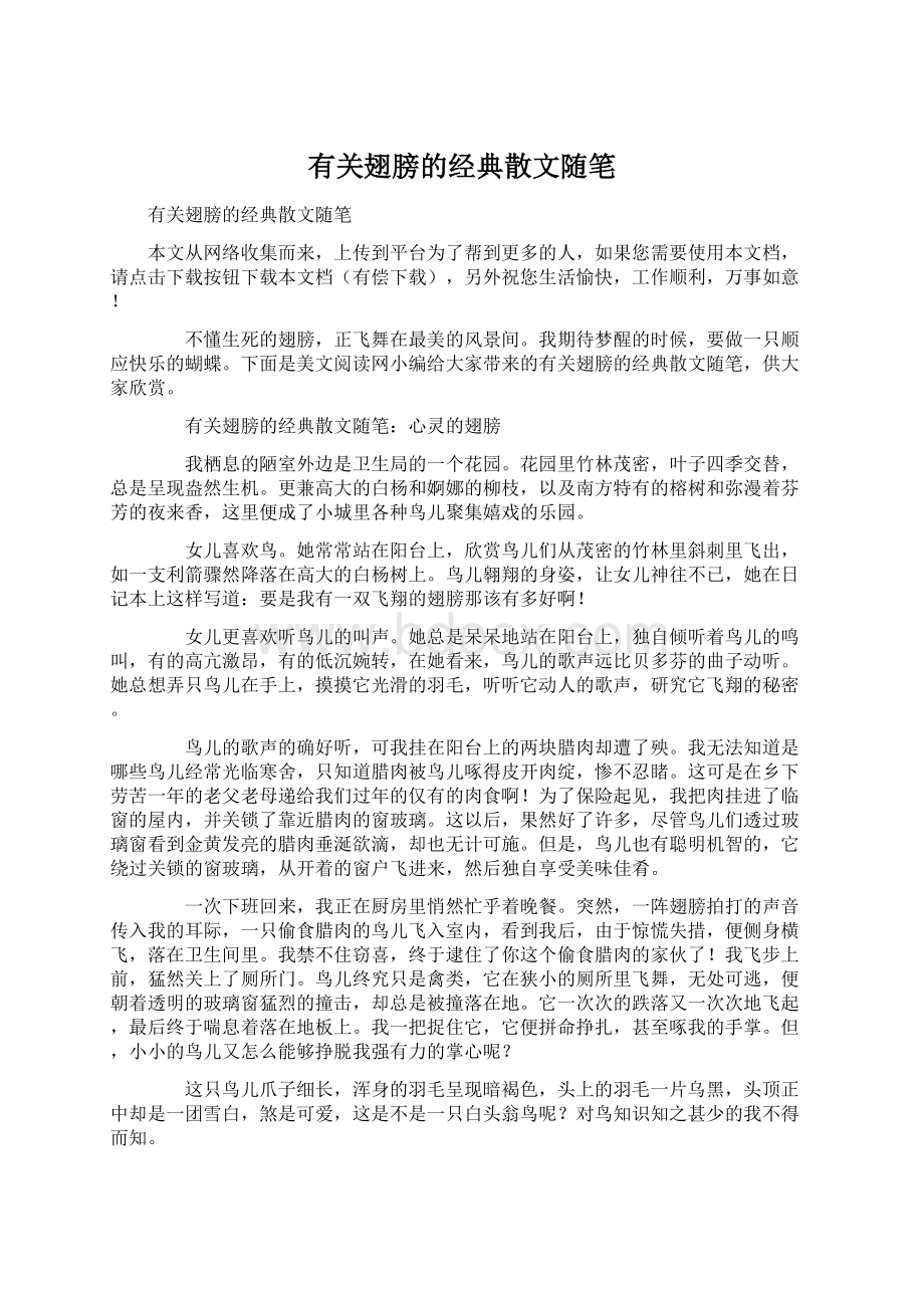 有关翅膀的经典散文随笔文档格式.docx