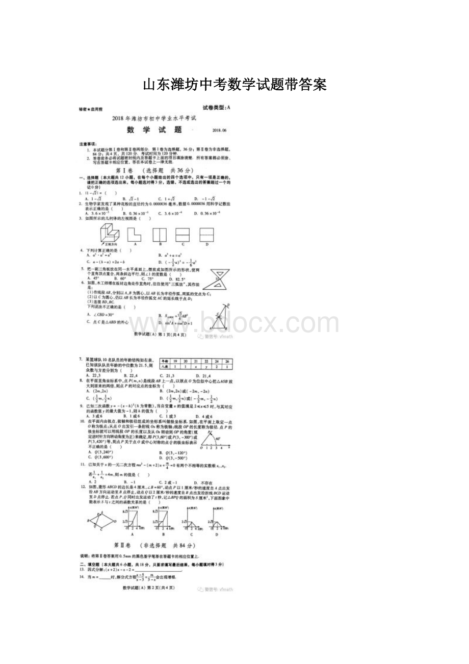 山东潍坊中考数学试题带答案.docx