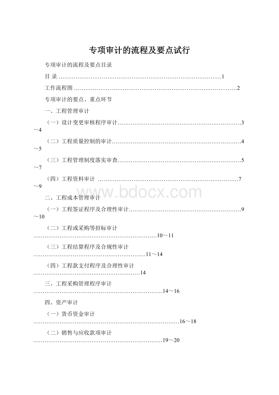 专项审计的流程及要点试行.docx_第1页