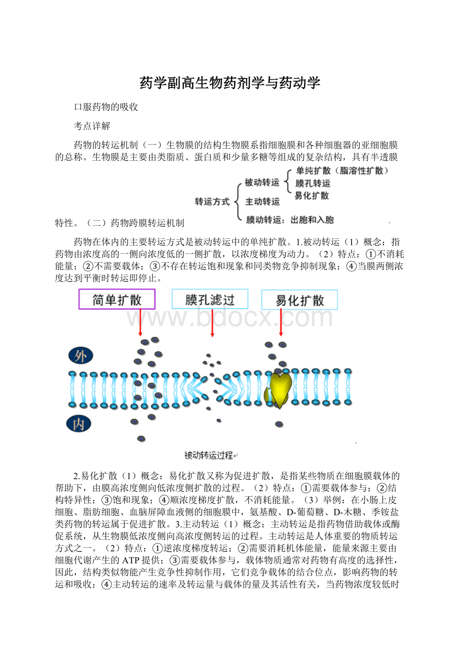 药学副高生物药剂学与药动学.docx