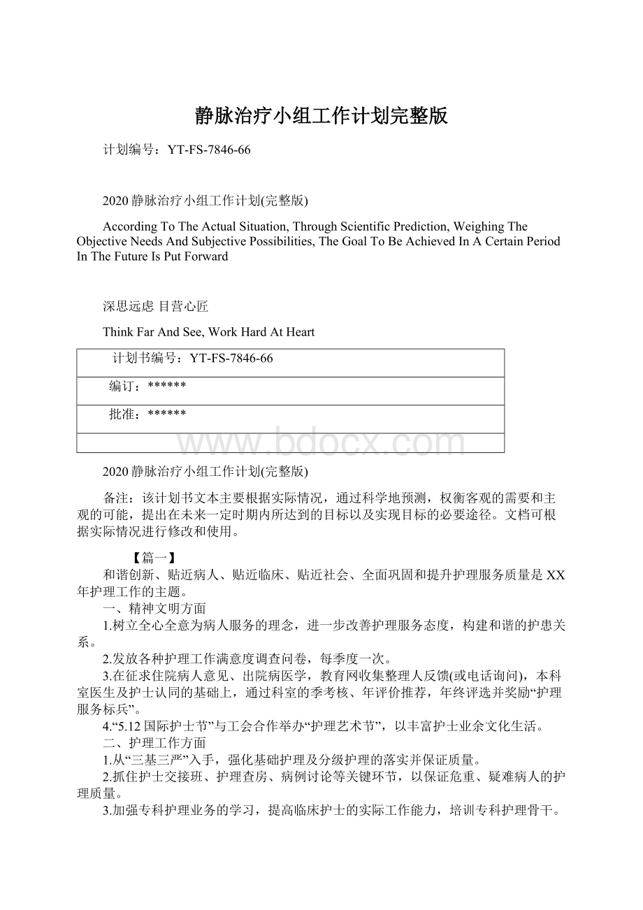 静脉治疗小组工作计划完整版.docx