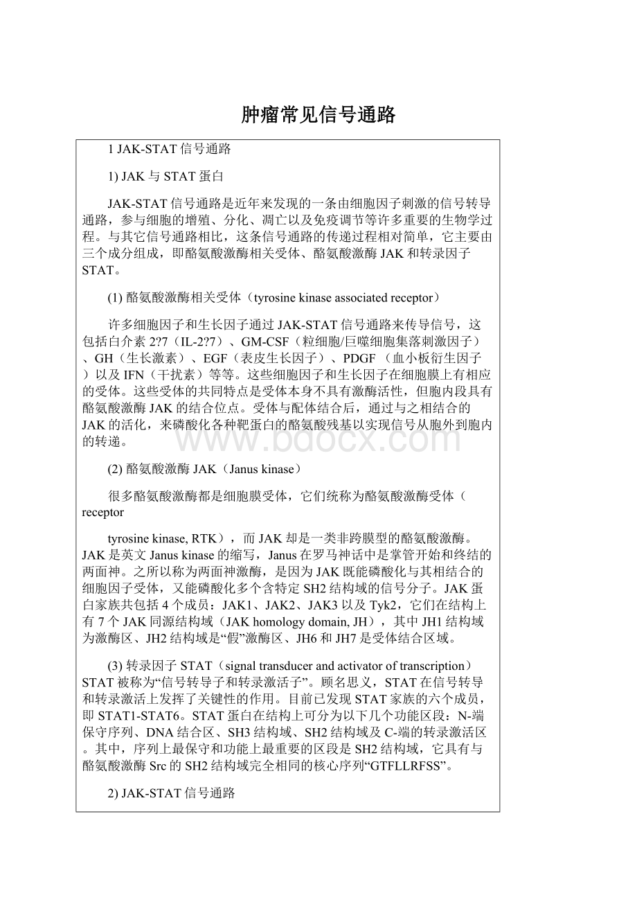 肿瘤常见信号通路Word文档格式.docx_第1页