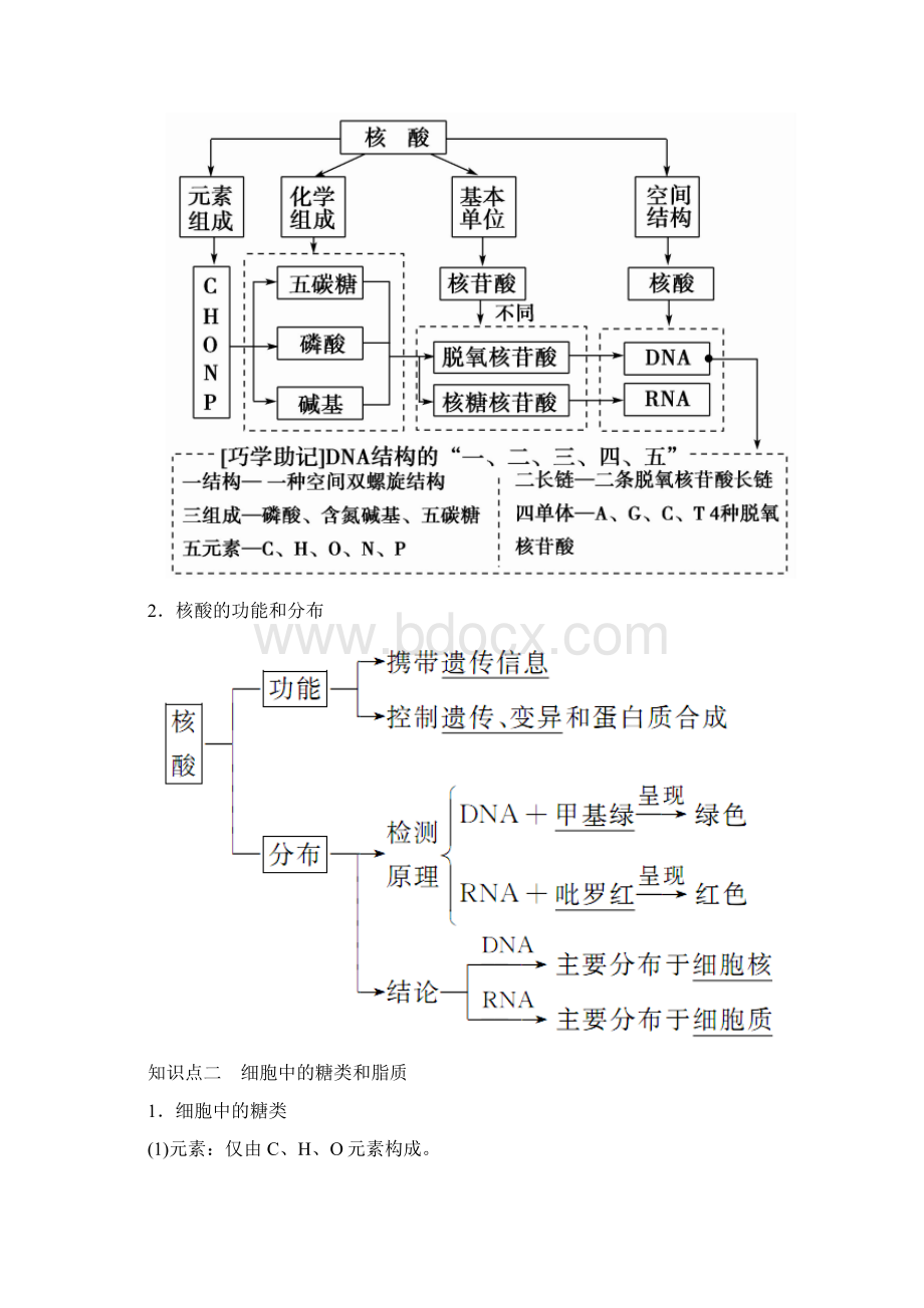 高考生物人教版一轮复习习题第1单元第4讲 核酸糖类和脂质.docx_第2页