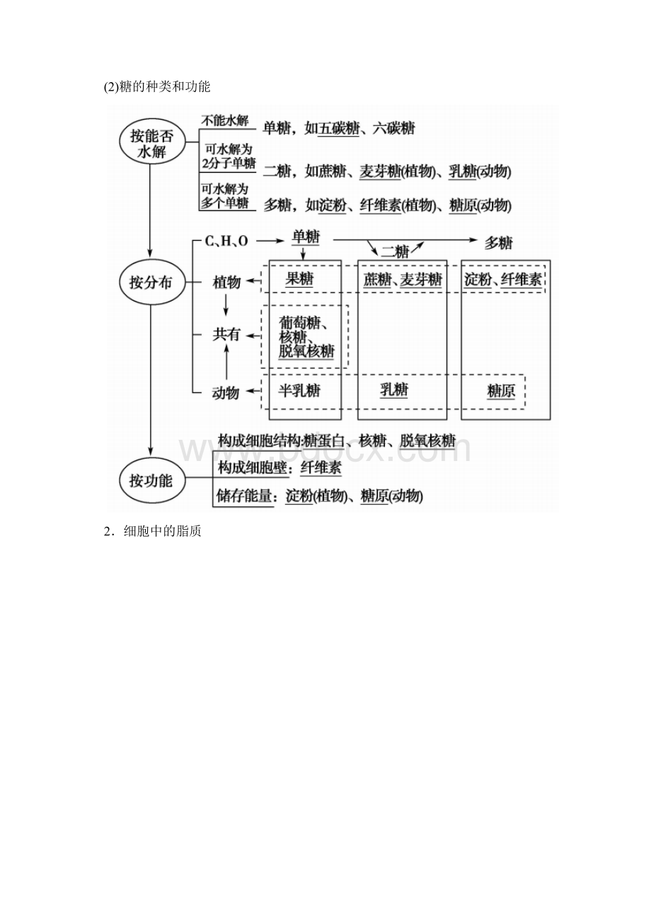 高考生物人教版一轮复习习题第1单元第4讲 核酸糖类和脂质.docx_第3页